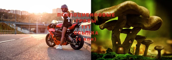 дурь Балабаново