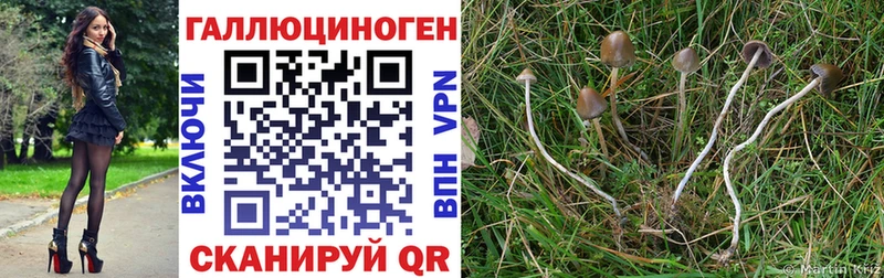 Псилоцибиновые грибы мухоморы  Валдай 